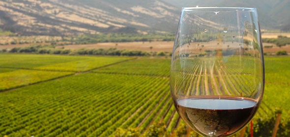 Vino Chile Argentina